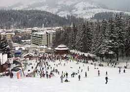 La cerere se pot organiza drumetii montane, vizite la obiectivele turistice din zona: Despre Vatra Dornei Romania Prezentare Imagini Informatii Turistice Si Detalii Despre Statiunea Vatra Dornei