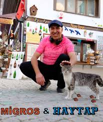 Oguz Cagri Sazli Adli Kullanicinin Migros Eskisehir Migrosjet Sihhiye Panosundaki Pin Kedi Hayvan Kopek