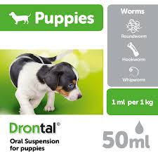 It made him very sick and he lost 10 pounds. How Long Does Drontal Plus For Dogs Take To Work Dogwalls