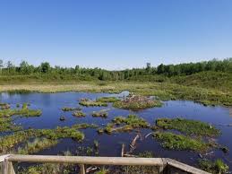 Check spelling or type a new query. Elk Island National Park Kanada Beste Route Zum Kinderfreundlich Alltrails