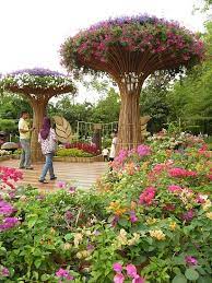 Royal floria putrajaya 2019 rfp 2019 has come to end. Putrajaya Floria 2021 Royal Floria Putrajaya Flower Garden Festival