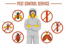 We work with all types of clients, from regular home owners maintaining their properties to assisting real estate professionals in closing their deals. Pest Control Services In Lahore Pesttreatment Pestcontrol Doityourselfpestcontrol Pestcontrolservices Pestrepeller Pr Pest Control Services Pest Control Pests