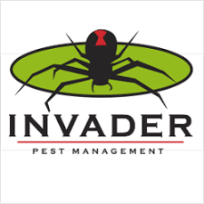 We specialize in the tough pests like roof rats, scorpions, bedbugs, and pigeons. Invader Pest Management 23 Recommendations Glendale Az