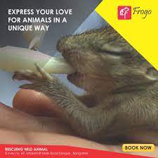 Show Your Love For Animals With Our Handpicked Experiences Https Www Frogo In Bangalore F04551 Rescuing Wild Animal Animals Wild Animals Activities