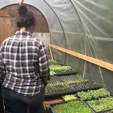 We did not find results for: Portland Sustainable Flower Delivery