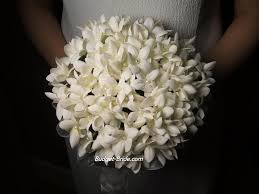 Maybe you would like to learn more about one of these? A Full Bouquet Of Stephanotis Stephanotis Wedding Flowers Silk Flowers Wedding Small Wedding Bouquets