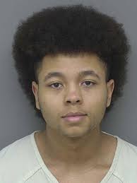 Man gets year of probation for 'mangling' State Police vehicle