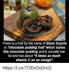 Anyone who has tried this fruit will tell you that it really does taste very much like chocolate pudding (not like some other sorry excuses for. There Is A Fruit By The Name Of Black Sapote Or Chocolate Pudding Fruit Which Tastes Like Chocolate Pudding And Is Actually Low Fat And Has About 4 Times As Much Vitamin