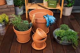 Gemüse im topf pflanzen und auf dem balkon züchten. Gemuse Auf Dem Balkon Anpflanzen Obi