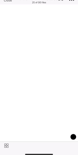 Elvira pitzner dropbox