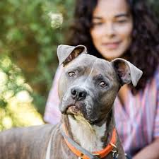 BANFIELD PET HOSPITAL