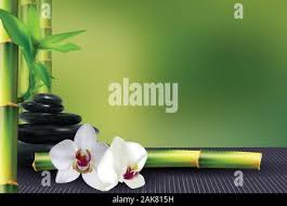 Fleur d'orchidée en bambou Banque d'images vectorielles