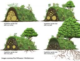 What Is Hugelkultur The Ultimate Raised Bed Vegetable Garden Raised Beds Garden Beds Raised Garden Beds