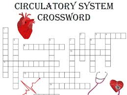 The best part about sunday crossword? Biology Crossword Puzzle Circulation System Includes Blood Vessels And Heart Teaching Resources