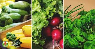 So now, you can add the kale vegetable plant to your list of shaded plants to grow. 44 Nutritious Vegetables That Will Grow In Shaded Areas In Your Garden