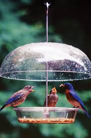 It has ample space to keep multiple birds protected and fed. Dome Mealworm Feeder Wild Birds Unlimited Backyard Birds Bird Feeders
