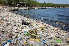 We did not find results for: Pencemaran Laut Akibat Sampah Plastik Atau Sea Pollution Due To Plastic Waste Dr Arif Zulkifli Nasution
