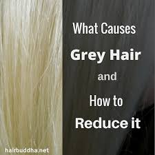 Tobin suggests that hair turns gray because of age and genetics, in that genes regulate the exhaustion of the pigmentary potential of each individual hair follicle. What Causes Grey Hair 5 Ways To Reduce It Hair Buddha