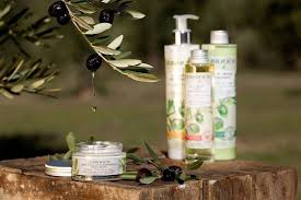 This Creamy Skincare From Durance Rich In Organic Olive Oil From Nyons Shea Butter And Protecting Olive Leaf Extract Organic Olive Oil Nourishment Face Cream