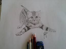 Mustafa Serefli On Twitter Cizim Karakalem Kedi Portre Sanat Art Artdrawing Sketch