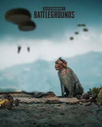 Pubg Beground Png Blur Background In Photoshop Background Wallpaper For Photoshop Photo Background Images Hd pubg beground png blur background in