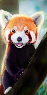 1080x2160 Cute Red Panda Art Wallpaper Panda Art Animal Wallpaper Panda Wallpapers