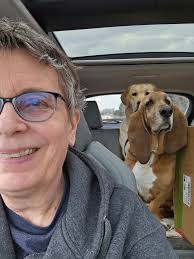 Need to rehome my babes 🥲 our family car was in an accident this week & I  need to replace car seats and get a rental 🙃 I'm open to bundling offers,