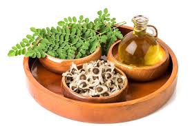 Moringa Oil - Shebag Holdings Co., Ltd.