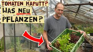 Knoblauch im garten oder sogar im topf auf dem balkon anzubauen ist denkbar einfach. Cva7xi3tfv Jhm