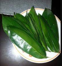 Hasilnya membuktikan bahawa daun dan batang kayu durian. 7 Khasiat Daun Durian Belanda Makan Sedap Johor Facebook