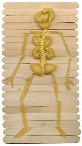 1278 x 720 jpeg 86 кб. Pasta Skeleton Art Projects For Kids