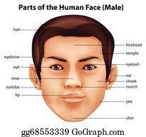 Mom face clipart black and white. Human Face Clipart Lizenzfrei Gograph
