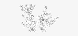 Clip Free Dead Flower Quotes Tumblr Flower Quote Free Transparent Png Download Pngkey