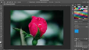 Make sure that the adjustments. How To Change The Color Of An Object In Photoshop In Three Simple Steps Digital Trends