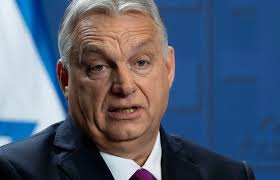 Helt agurk: Thomas Strandberg