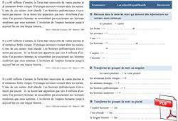 Jeu pour motiver l'enfant à apprendre ses tables d'additions. L Adjectif Qualificatif Sequence 2 Ce2 Et Cm1 La Classe Des Gnomes