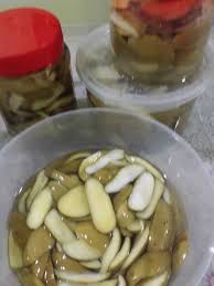 Mangga muda dikupas dan dipotong kecil mengikut dengan. Kekeliruan Nama Mangga Yang Sebenarnya Dan Resepi Jeruk Pelam Telur Gaya Hidup Cari Infonet