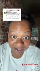 How to Harvest Goosefoot Seeds