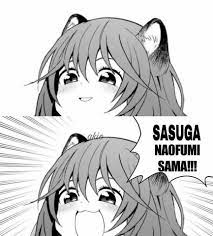 Happy Raccoon Noises Animemes