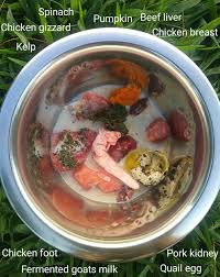 Barf Diet For 6 Lb Dog Raw Food Recipes Barf Diet Raw Food Diet