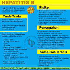 Pada anak, virus hepatitis b dapat ditularkan dari ibu yang menderita hepatitis b saat persalinan. Primadona Tuah Adakah Anda Mengetahui Apa Itu Hepatitis B Mari Kita Kenali Hepatitis B Facebook