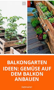 Gemuse Auf Dem Balkon Anbauen Balkongarten Krautergarten Balkon Und Anpflanzen Balkon