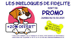 Vous trouverez ici 5000 noms de chiens.ces noms ont été gravés sur des médailles durant ces dernières années. Nom D 1 Chien Home Facebook