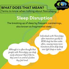 Image result for Narcolepsy