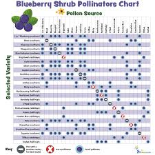 half life charts venlafaxine half life chart