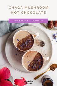 Chaga Mushroom Hot Chocolate Delicious And A Great Source Of Antioxidants This Coffee Alternative Stuffed Mushrooms Chaga Mushroom Mushroom Coffee Benefits