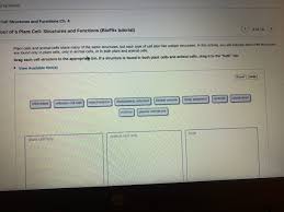 What structures does an animal cell have that a plant cell does not have? Answered Plant Cells And Animal Cells Share Many Bartleby