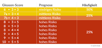 Gleason Score Was Sagt Dieser Aus Risiko Und Prognose Eines Tumors
