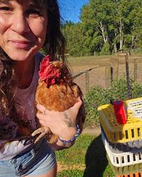 Anyone driving Jhb to George? Stopping in Orania area? Have a silky hen  needing a home. I know, it's a hen. But you all get it.. We all get it.  Save who