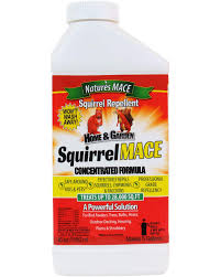 Bobbex 32 Oz. Bobbex-R Animal Repellent Ready-To-Use Spray B550125 - The  Home Depot